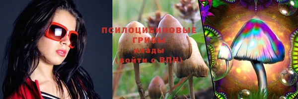 меф Заводоуковск