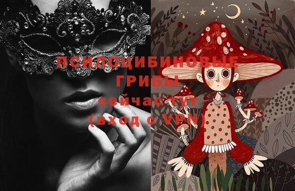 меф Заводоуковск