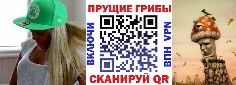 где купить наркотик  Салаир  Псилоцибиновые грибы мухоморы 